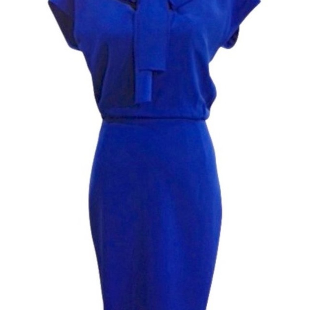 Elegant Blue Dress